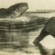 Illustration for article titled Tall Tale Fishing Postcards, The Ultimate Humblebrag Of The Early 1900s